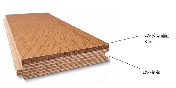 Cấu trúc vật liệu ván sàn gỗ Robina